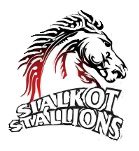 PSL Team Auction 2026 Sialkot Stallions